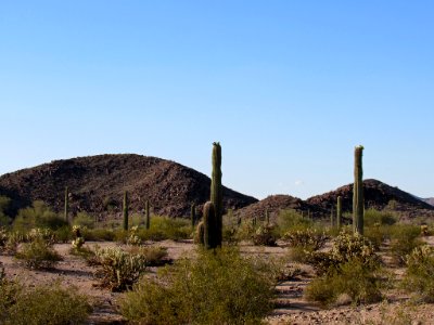 Sonoran Desert NM in AZ