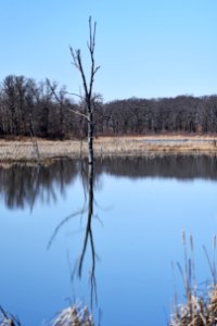 Pool reflections at Sherburne National Wildlife Refuge