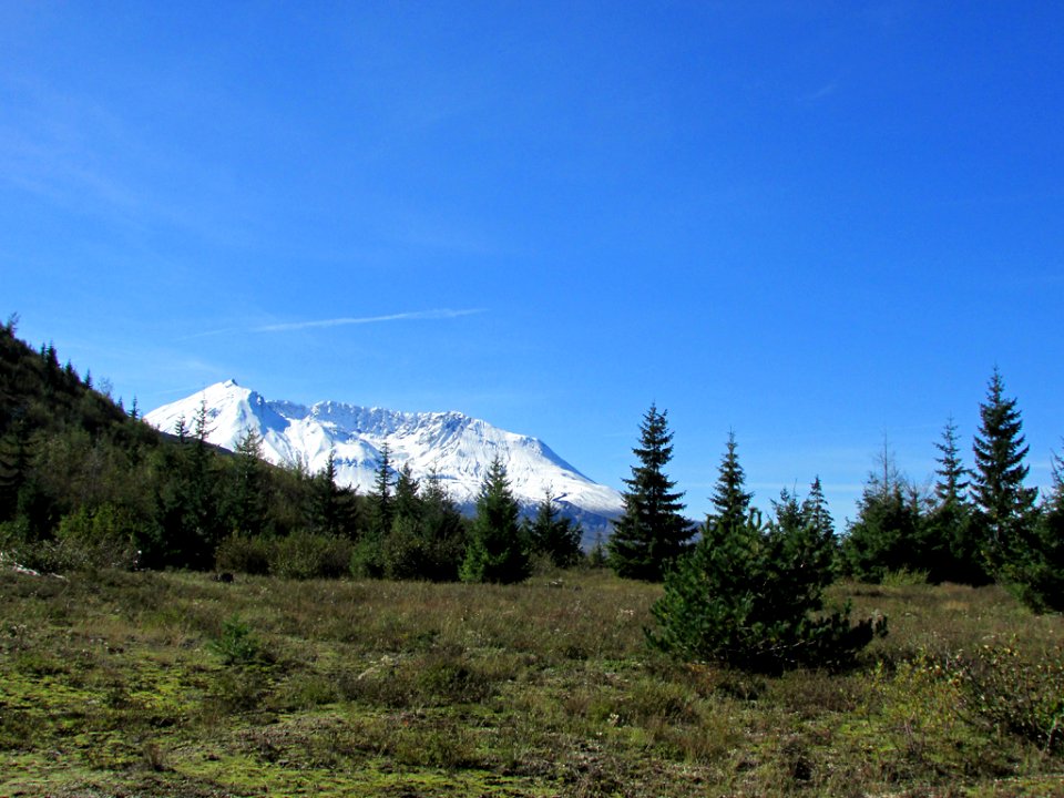 Mt. St. Helens NM in WA