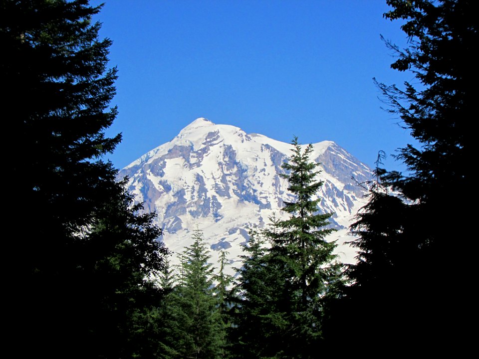 Mt. Rainier NP in WA