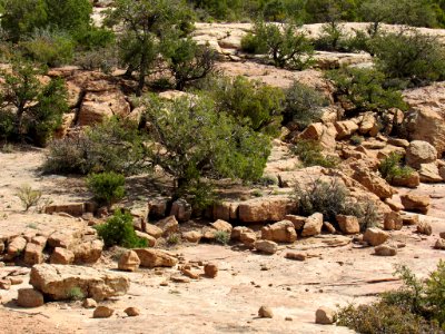 Canyon de Chelly NM in Arizona