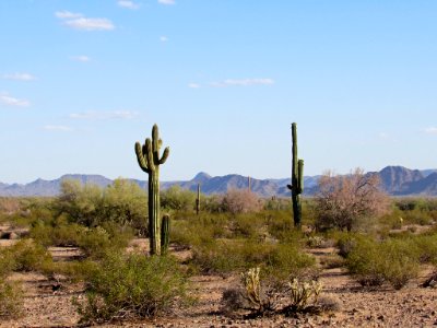 Sonoran Desert NM in AZ