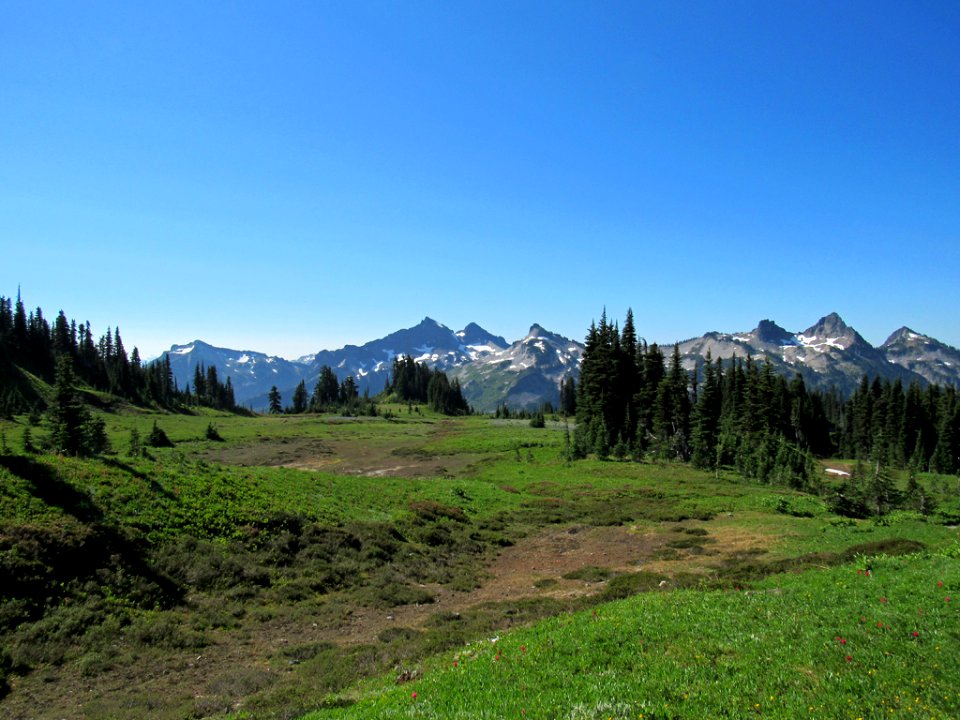 Paradise Skyline Trail at Mt. Rainier NP in WA