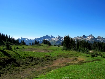 Paradise Skyline Trail at Mt. Rainier NP in WA