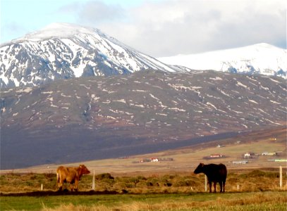 Overheard on the Iceland Plain