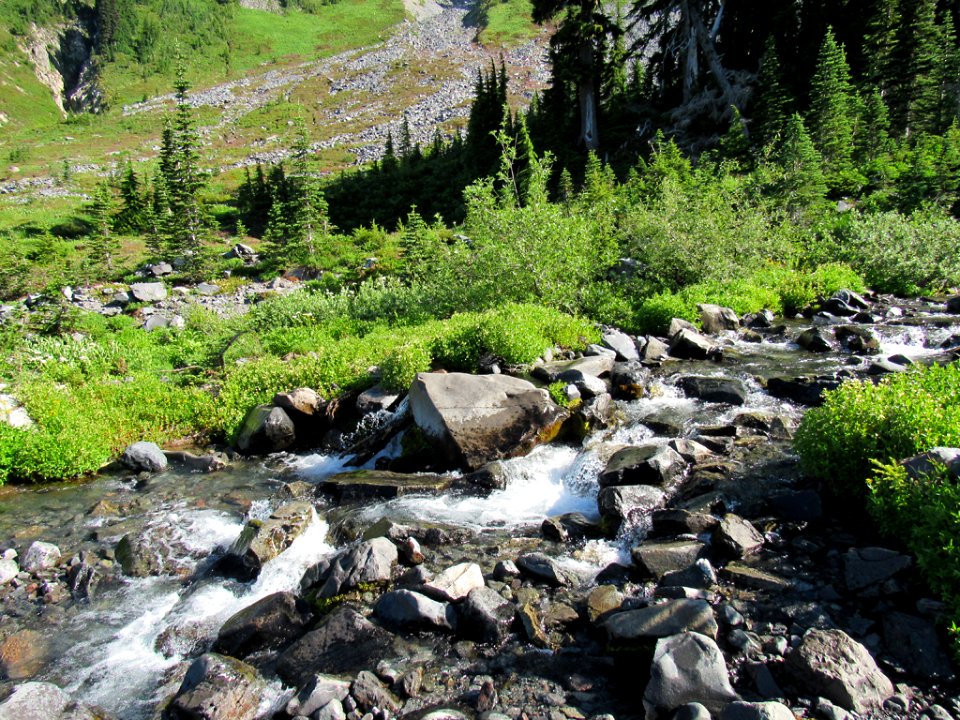 Paradise Skyline Trail at Mt. Rainier NP in WA photo