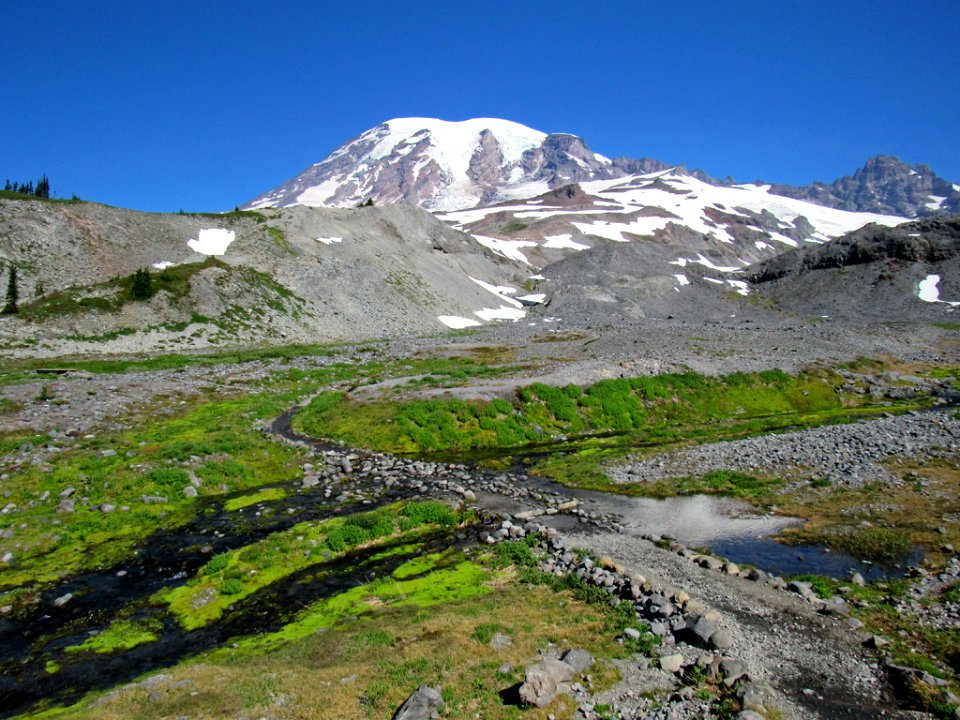 Paradise Skyline Trail at Mt. Rainier NP in WA