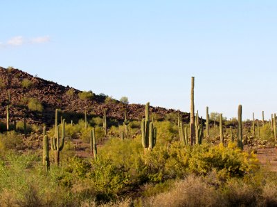 Sonoran Desert NM in AZ
