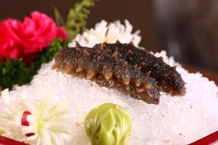 Sea cucumber food gourmet
