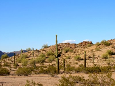 Sonoran Desert NM in AZ