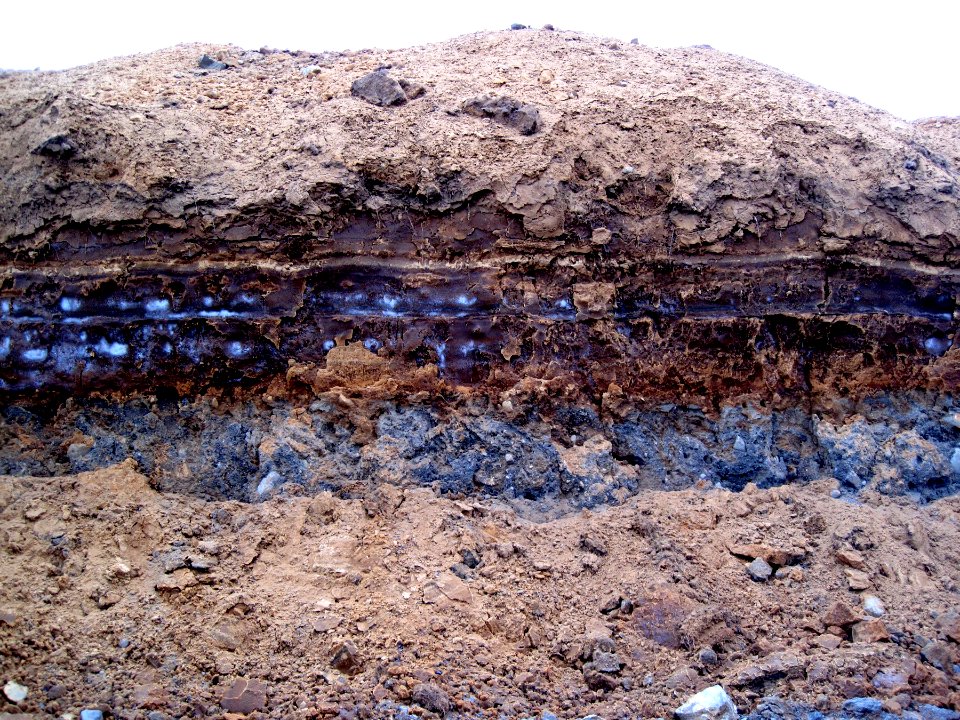 Get Your Own Outcrop