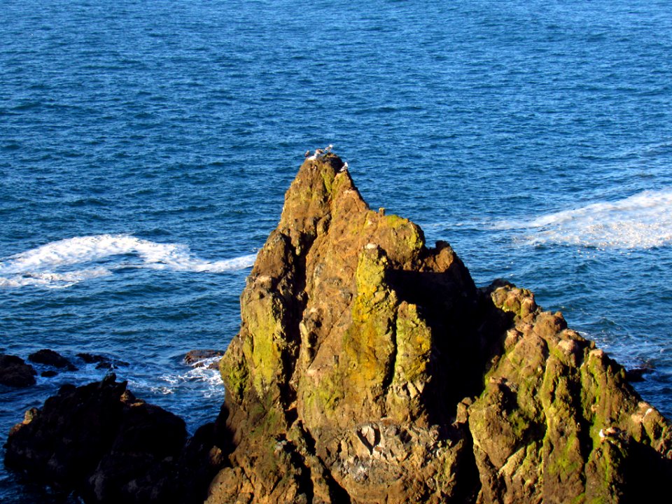 Yaquina Head in OR