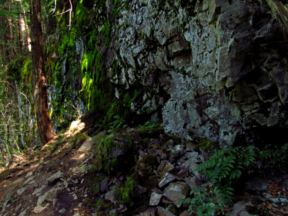 Panther Creek Falls Trail in WA