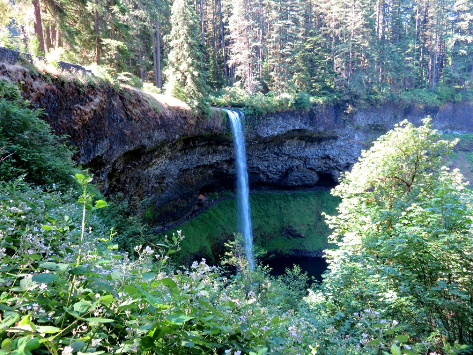 Silver Falls SP in OR