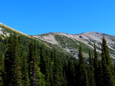 Glacier Basin Trail at Mt. Rainier NP in WA