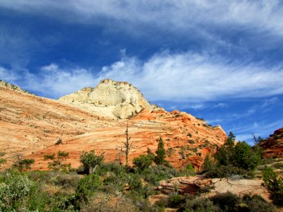 Zion NP in UT photo