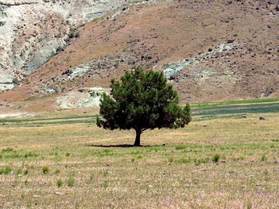 John Day Fossil Beds NM in OR