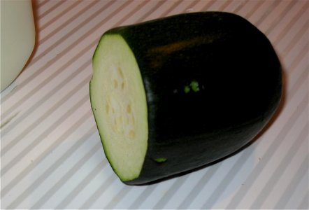 Last Zucchini For @injenity