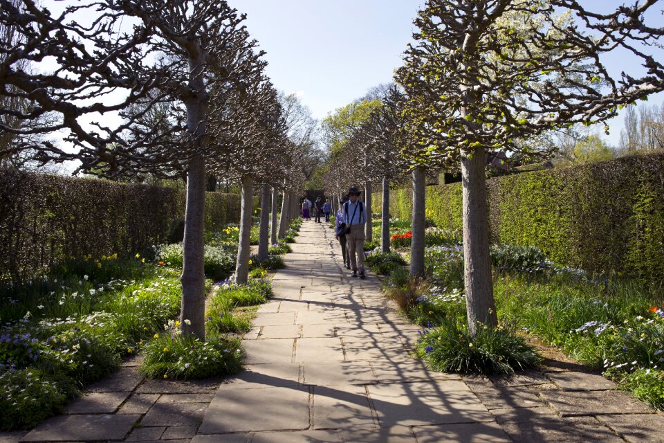 Hedges perspective spring planting