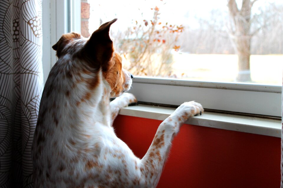 Intense waiting look