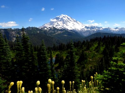 Tolmie Peak Trail at Mt. Rainier NP in WA