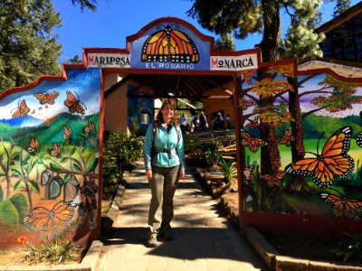 Lori Nordstrom visiting the monarch butterfly's overwintering grounds