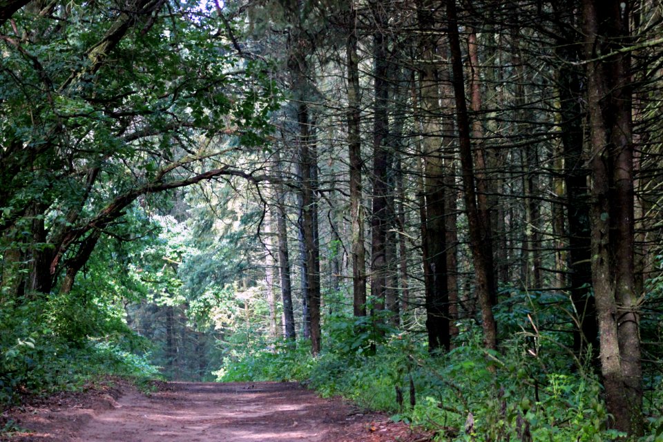 Hiking at Sherburne National Wildlife Refuge