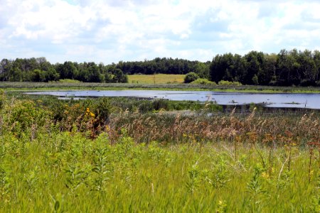 Horicon National Wildlife Refuge