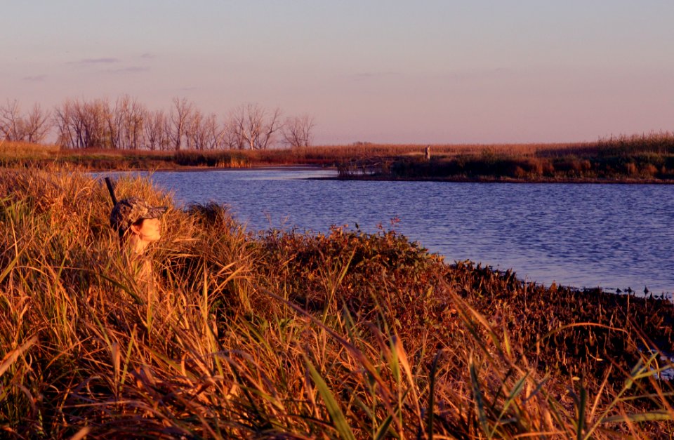 Watching for waterfowl