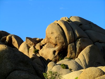 Joshua Tree NP in CA