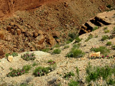 Marble Canyon in AZ