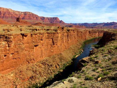 Colorado River at Marble Canyon in Arizona photo