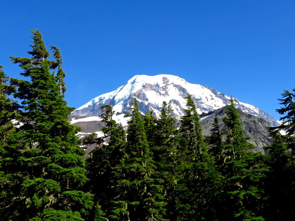 Spray Park Trail at Mt. Rainier NP in WA