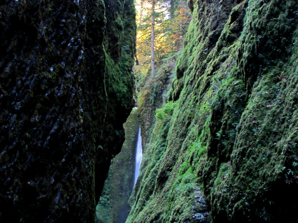 Oneonta Gorge at Columbia River Gorge in OR