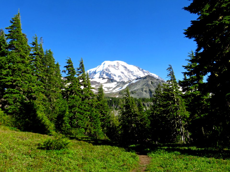 Spray Park Trail at Mt. Rainier NP in WA