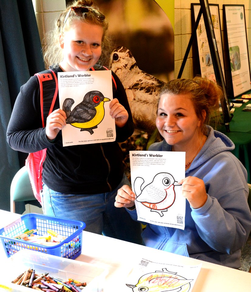 Kirtland's Warbler Coloring