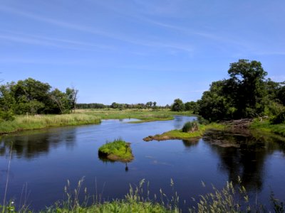 A River Flowing Through Sherburne National Wildlife Refuge photo