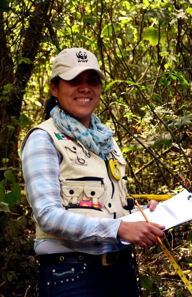 A WWF - Mexico volunteer monitoring monarch populations.