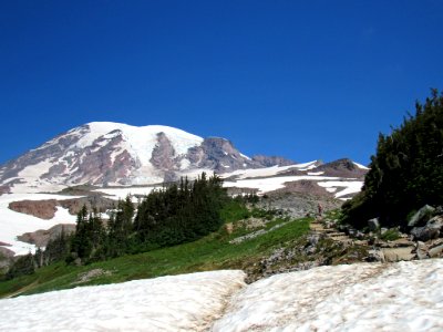 Paradise Skyline Trail at Mt. Rainier NP in WA photo