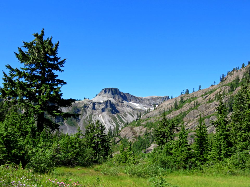 Austin Pass at Mt. Baker-Snoqualmie NF in WA