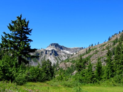 Austin Pass at Mt. Baker-Snoqualmie NF in WA photo