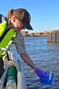 Collecting eDNA water samples on the Fox River photo