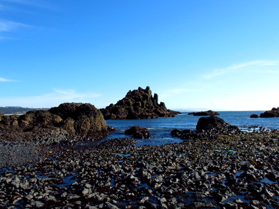 Cobble Beach at Yaquina Head in OR