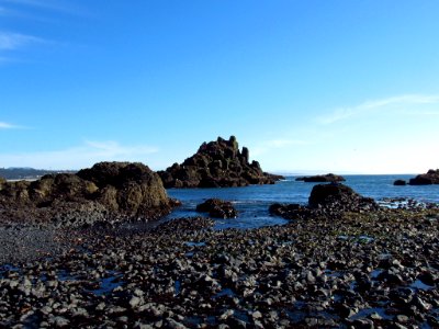 Cobble Beach at Yaquina Head in OR