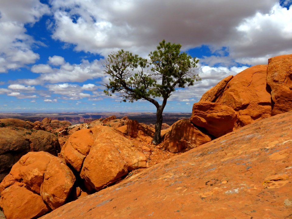 Canyonlands NP in UT