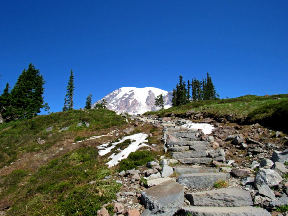 Paradise Skyline Trail at Mt. Rainier NP in WA