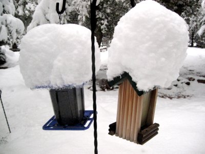Rooftop Snow