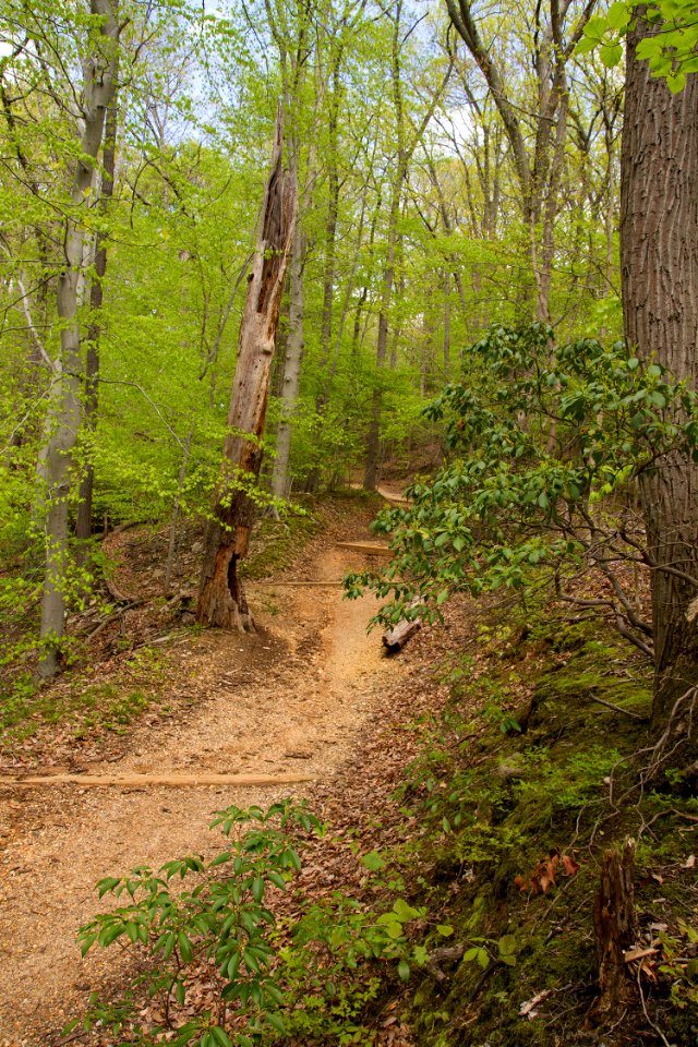 White Horse Trail