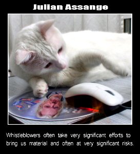 Cat watches Assange's mouse photo