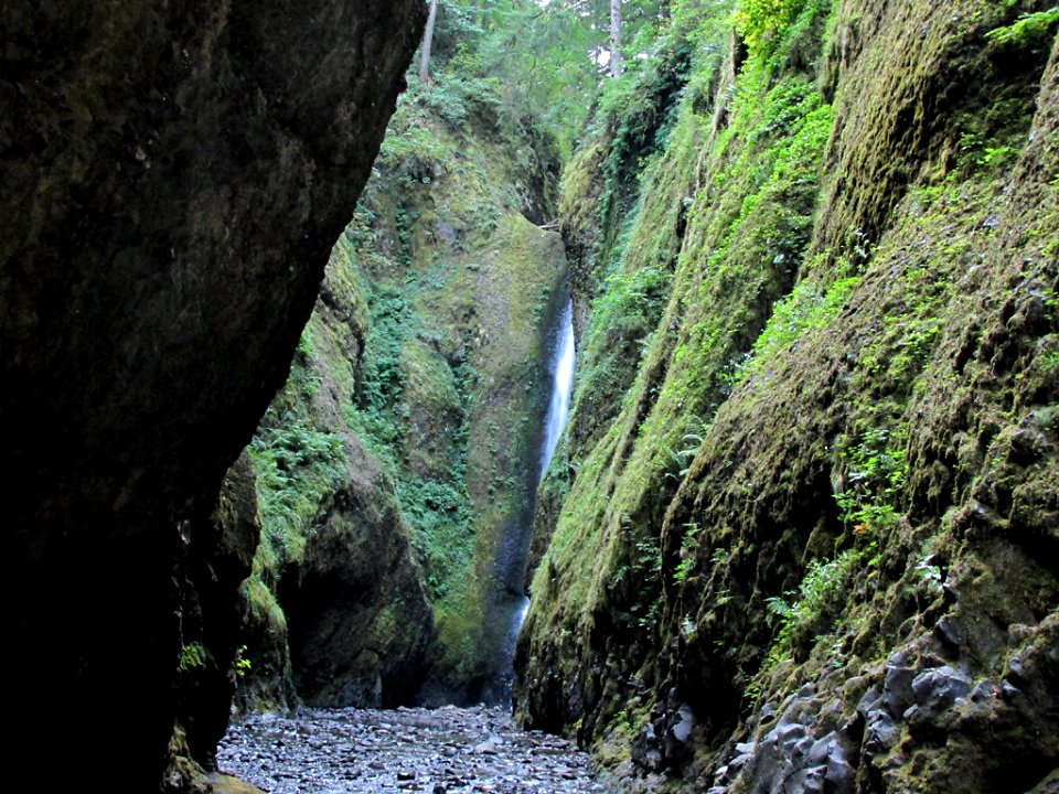 Oneonta Gorge at Columbia River Gorge in OR
